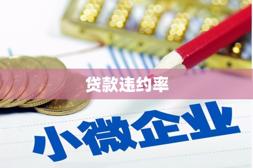 东兴贷款违约率