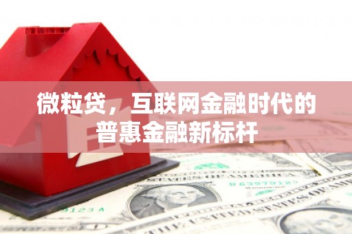 东兴微粒贷，互联网金融时代的普惠金融新标杆