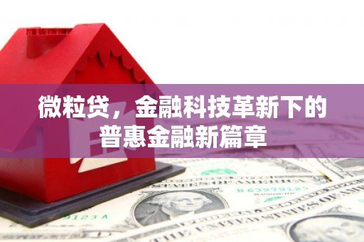 东兴微粒贷，金融科技革新下的普惠金融新篇章