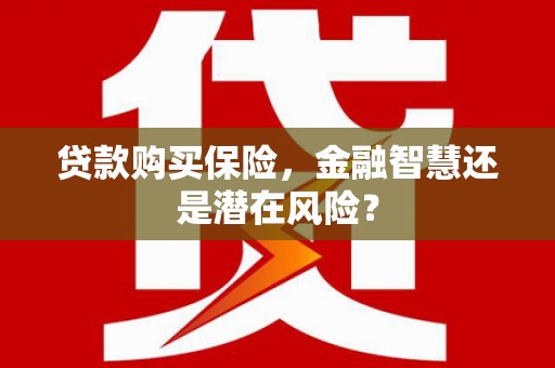 东兴贷款购买保险，金融智慧还是潜在风险？