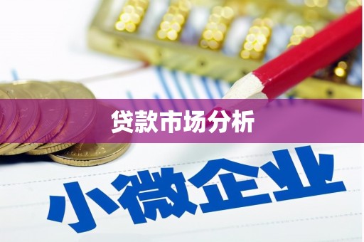 东兴贷款市场分析