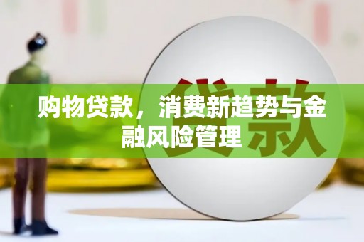 东兴购物贷款，消费新趋势与金融风险管理