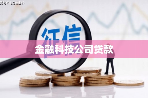 东兴金融科技公司贷款