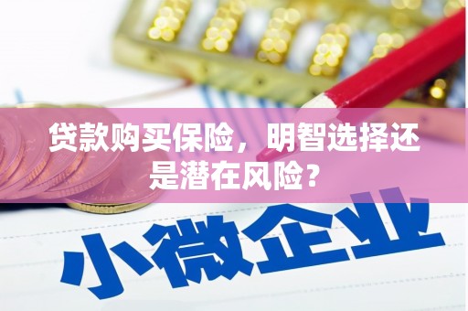 东兴贷款购买保险，明智选择还是潜在风险？