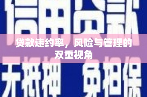 东兴贷款违约率，风险与管理的双重视角
