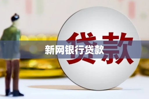 东兴新网银行贷款