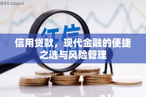 东兴信用贷款，现代金融的便捷之选与风险管理