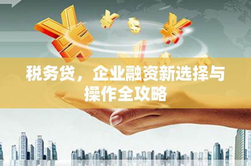 东兴税务贷，企业融资新选择与操作全攻略