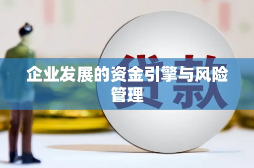 东兴企业发展的资金引擎与风险管理