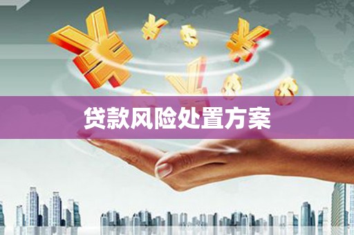 东兴贷款风险处置方案