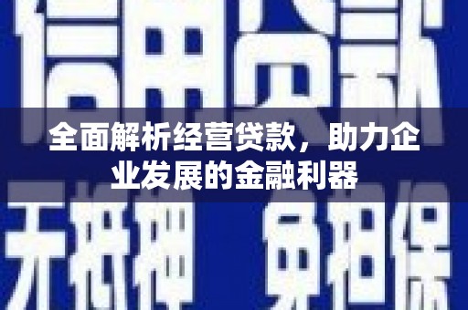 东兴全面解析经营贷款，助力企业发展的金融利器