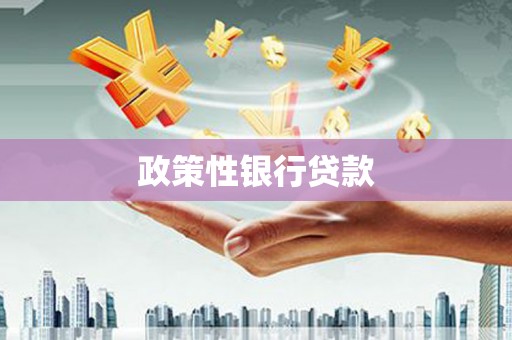 东兴政策性银行贷款