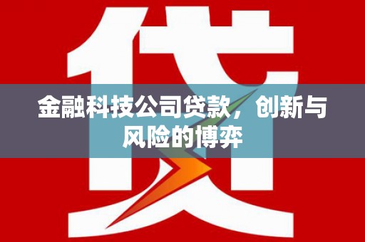 东兴金融科技公司贷款，创新与风险的博弈