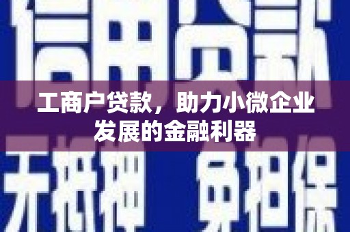 东兴工商户贷款，助力小微企业发展的金融利器