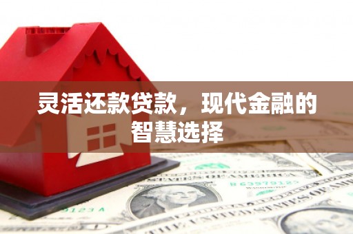 东兴灵活还款贷款，现代金融的智慧选择
