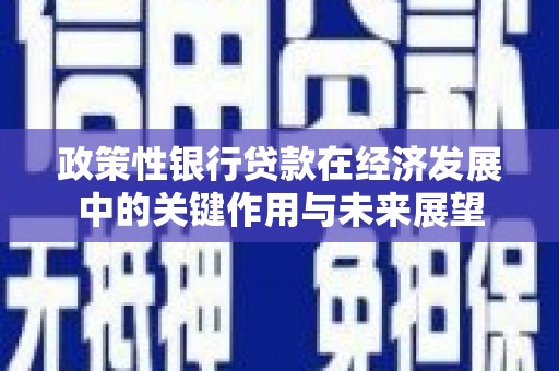 东兴政策性银行贷款在经济发展中的关键作用与未来展望