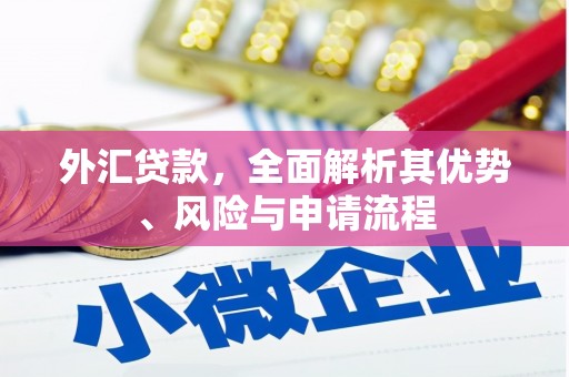 东兴外汇贷款，全面解析其优势、风险与申请流程