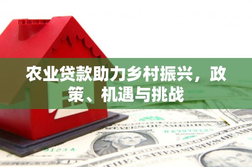 东兴农业贷款助力乡村振兴，政策、机遇与挑战