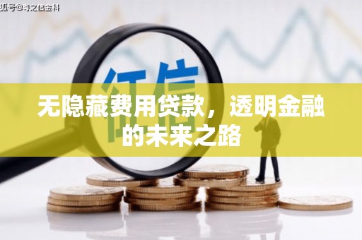 东兴无隐藏费用贷款，透明金融的未来之路