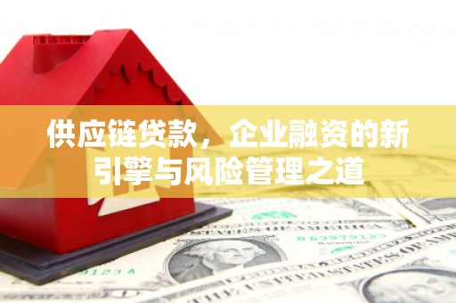 东兴供应链贷款，企业融资的新引擎与风险管理之道