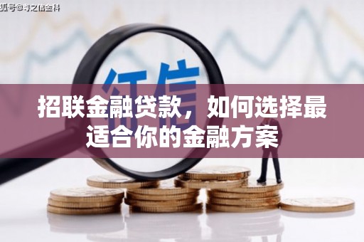 东兴招联金融贷款，如何选择最适合你的金融方案