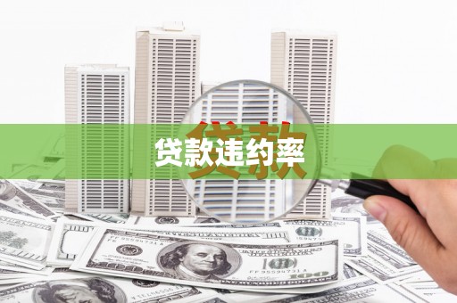 东兴贷款违约率