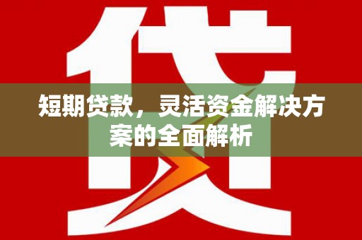 东兴短期贷款，灵活资金解决方案的全面解析
