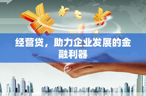 东兴经营贷，助力企业发展的金融利器