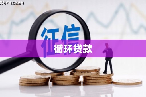 东兴循环贷款