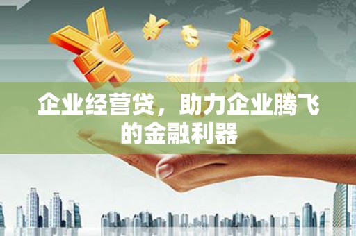 东兴企业经营贷，助力企业腾飞的金融利器