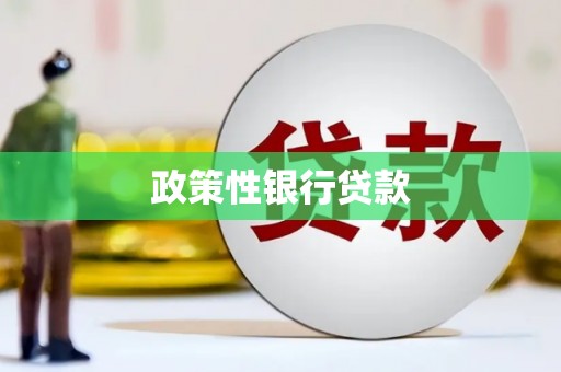 东兴政策性银行贷款