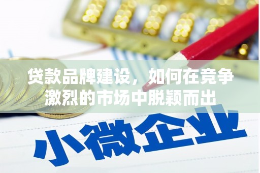 东兴贷款品牌建设，如何在竞争激烈的市场中脱颖而出