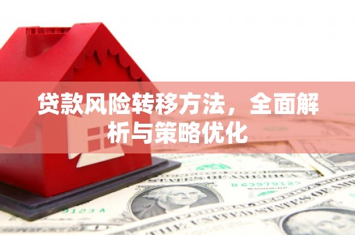 东兴贷款风险转移方法，全面解析与策略优化
