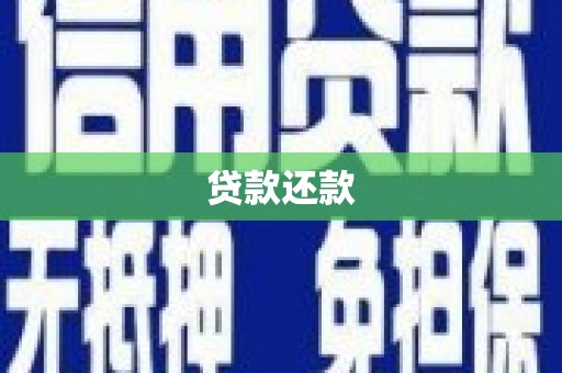 东兴贷款还款