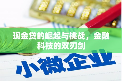 东兴现金贷的崛起与挑战，金融科技的双刃剑