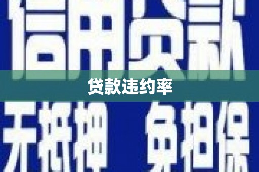 东兴贷款违约率