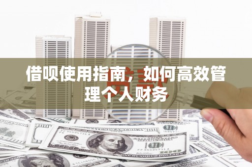东兴借呗使用指南，如何高效管理个人财务