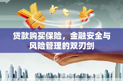 东兴贷款购买保险，金融安全与风险管理的双刃剑