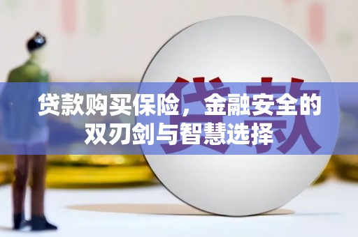 东兴贷款购买保险，金融安全的双刃剑与智慧选择