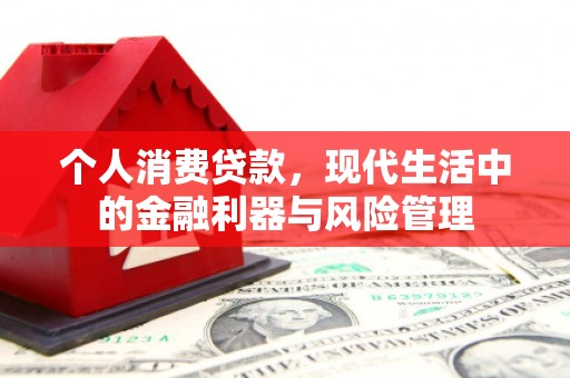 东兴个人消费贷款，现代生活中的金融利器与风险管理
