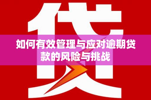 东兴如何有效管理与应对逾期贷款的风险与挑战