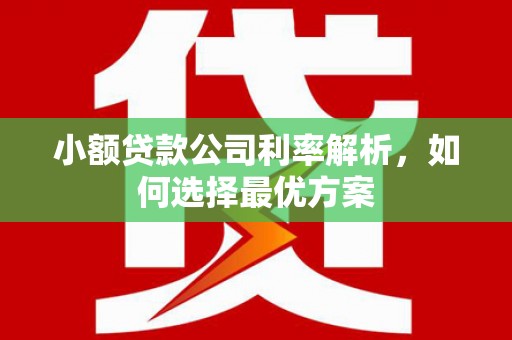 东兴小额贷款公司利率解析，如何选择最优方案