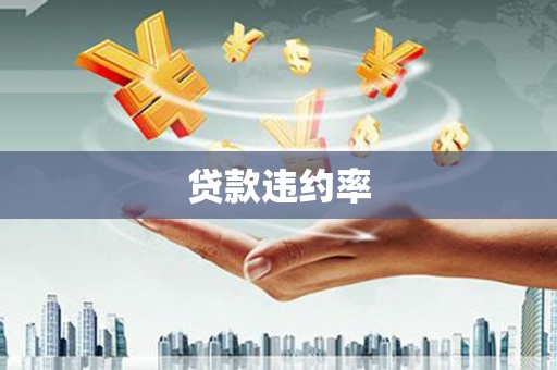 东兴贷款违约率