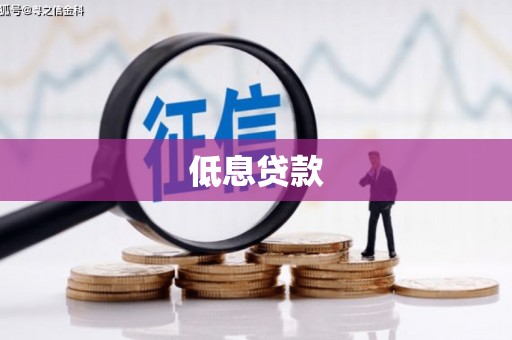 东兴低息贷款