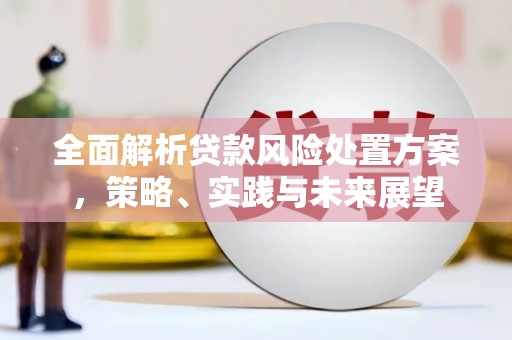 东兴全面解析贷款风险处置方案，策略、实践与未来展望