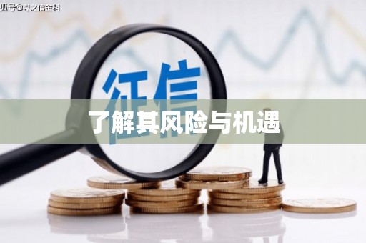 东兴了解其风险与机遇