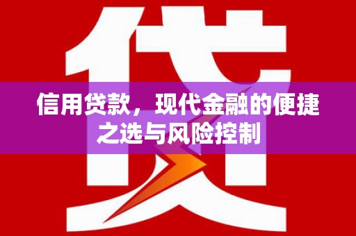 东兴信用贷款，现代金融的便捷之选与风险控制