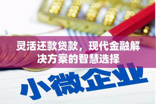 东兴灵活还款贷款，现代金融解决方案的智慧选择