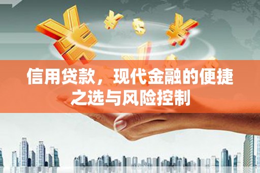 东兴信用贷款，现代金融的便捷之选与风险控制