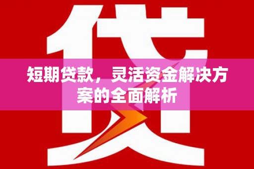 东兴短期贷款，灵活资金解决方案的全面解析